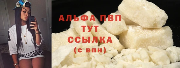 СК Аркадак