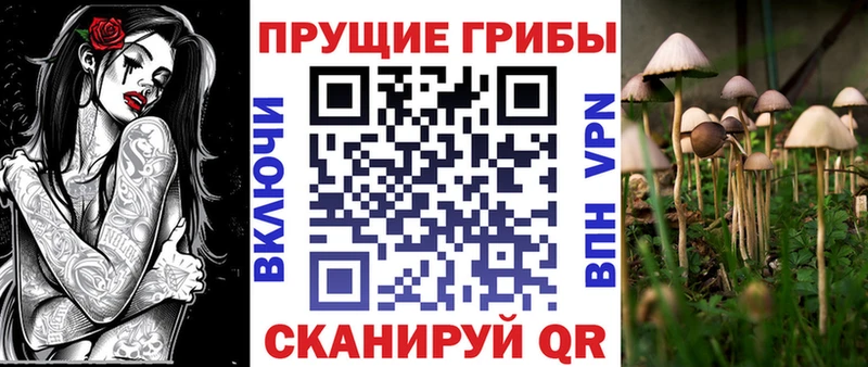 Галлюциногенные грибы Magic Shrooms  Спасск-Рязанский 
