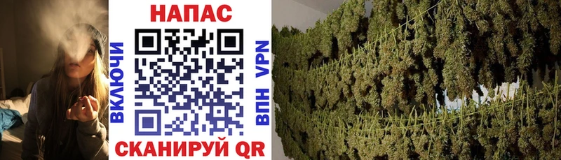 Конопля THC 21%  ОМГ ОМГ зеркало  нарко площадка клад  Спасск-Рязанский 